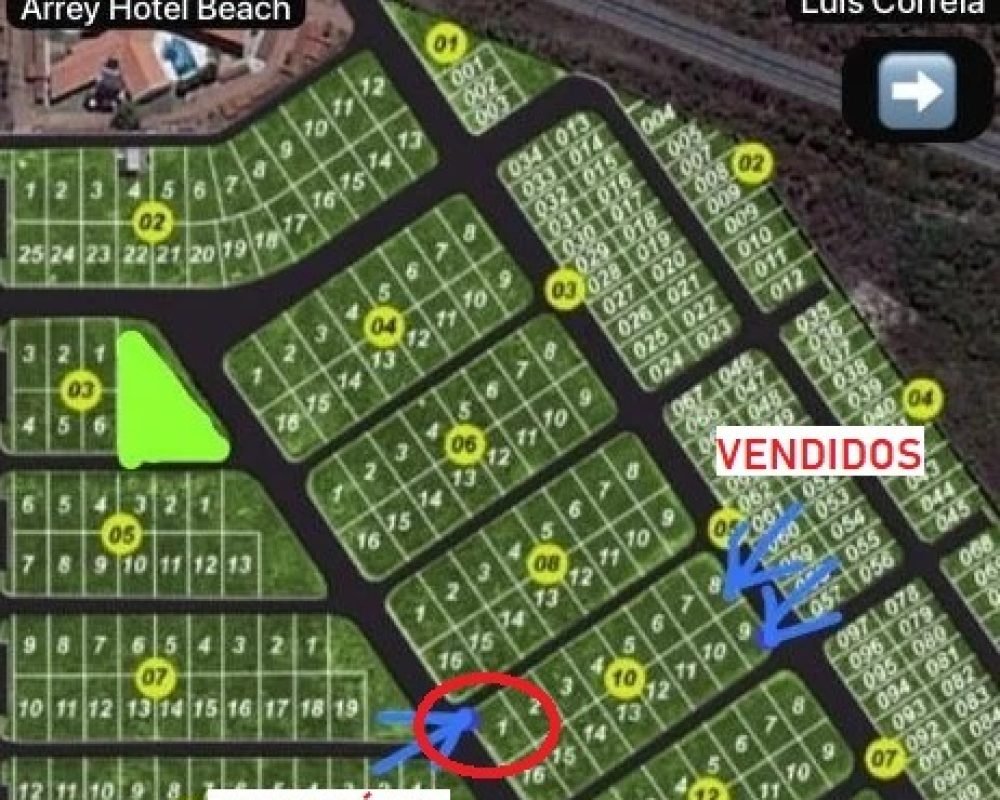 WhatsApp Image 2026-02-05 at 15.25.33