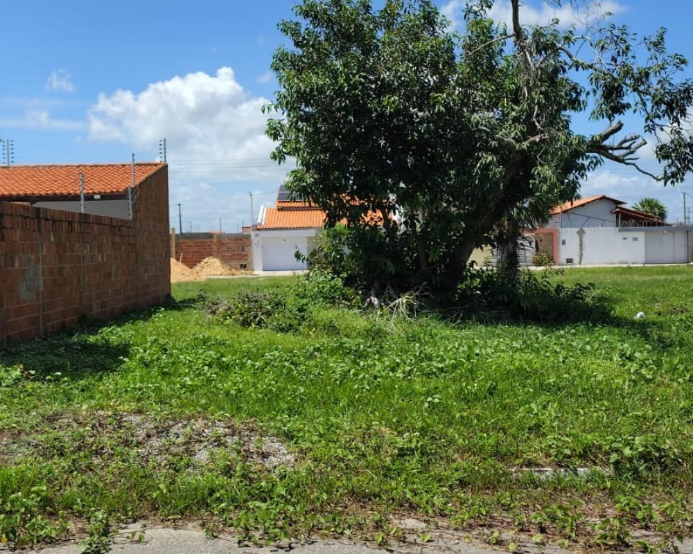 WhatsApp Image 2026-02-27 at 15.25.43 (1)