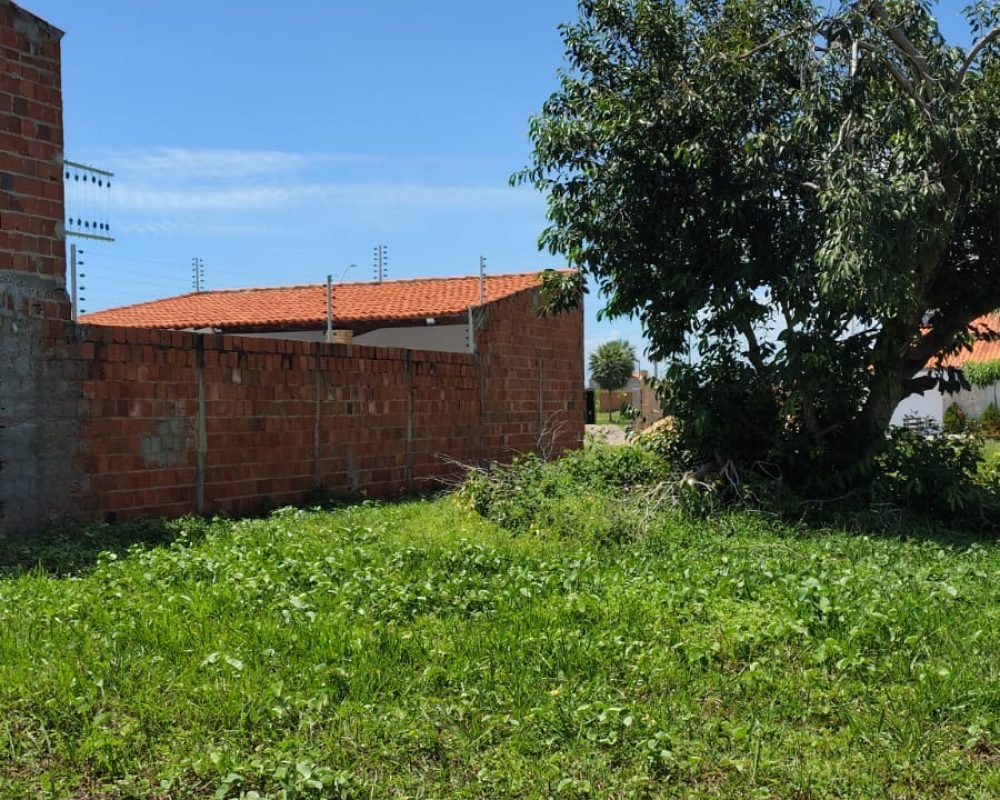 WhatsApp Image 2026-02-27 at 15.25.43 (2)