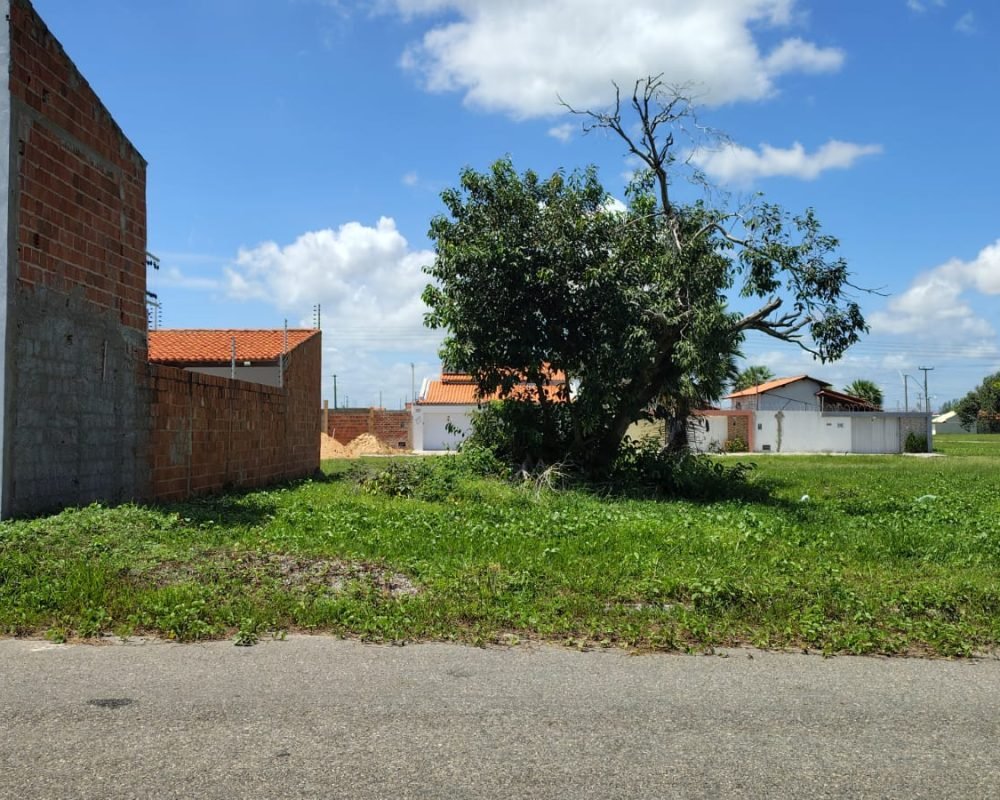 WhatsApp Image 2026-02-27 at 15.25.43