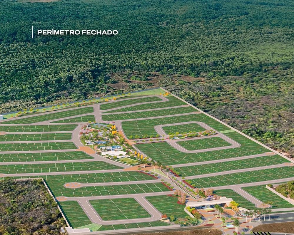 WhatsApp Image 2026-04-02 at 16.32.48