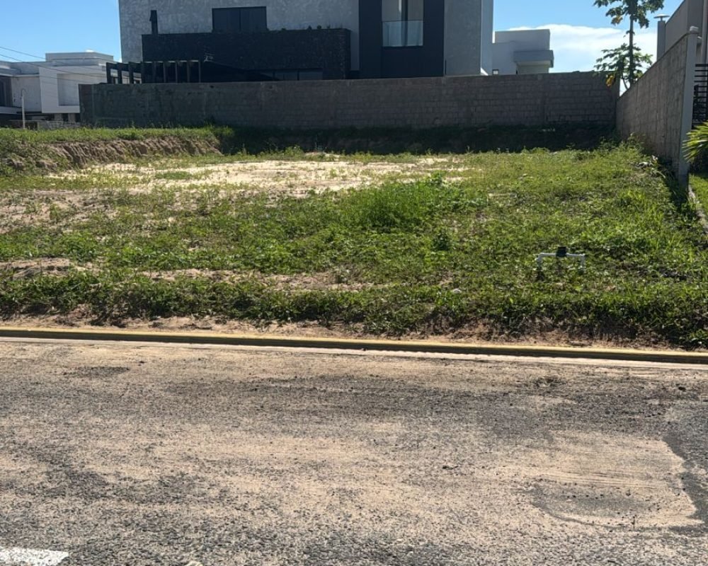 WhatsApp Image 2026-04-22 at 16.12.01