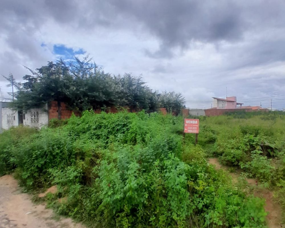 WhatsApp_Image_2026-04-30_at_14.32.57_(1)[1]