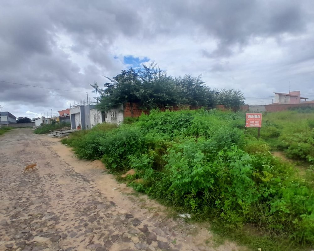 WhatsApp_Image_2026-04-30_at_14.32.58[1]