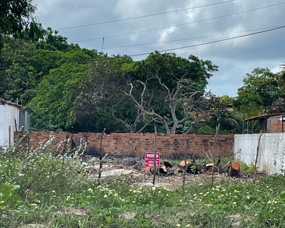 c6cd54ce-84a9-474b-82b1-28ea19ebff95