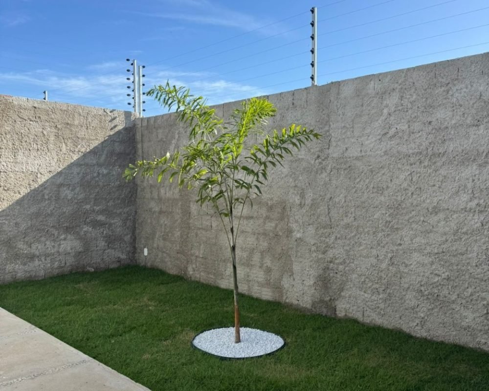 dca975ed-1ef8-4b7e-99ba-9c132f14bf32